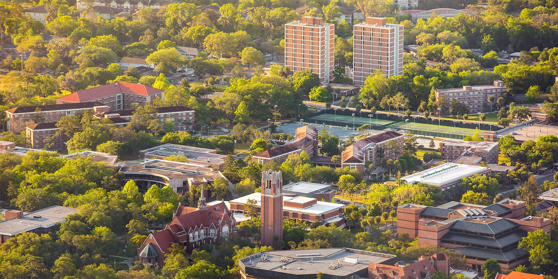 university of florida admission